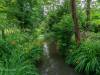 Die Gärten von Monet in Giverny