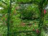 Die Gärten von Monet in Giverny