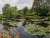 Seerosenteich von Monet in Giverny