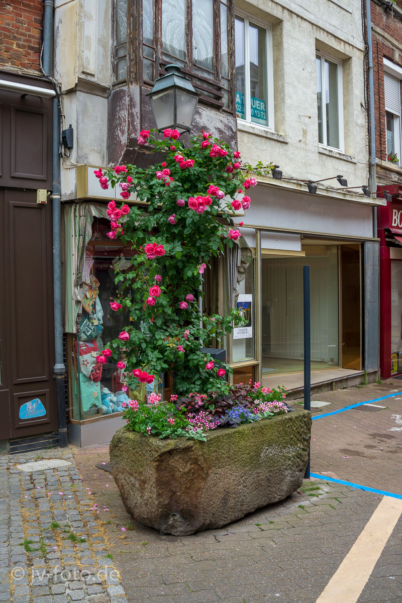 Altstadt von Eu