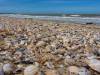 Strand von Ravenoville