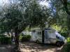Campingplatz Cisano