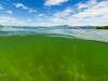Ein Bad im See