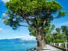 Auf dem Weg nach Lazise