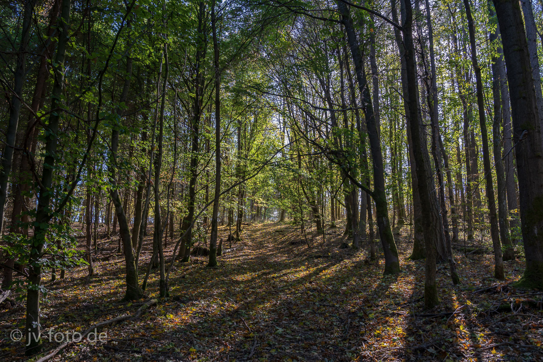 Herbstfärbung