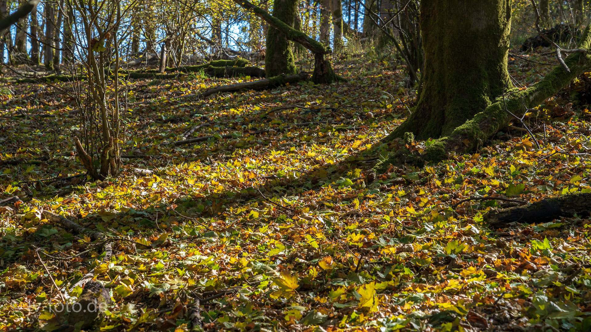 Harz September 2018