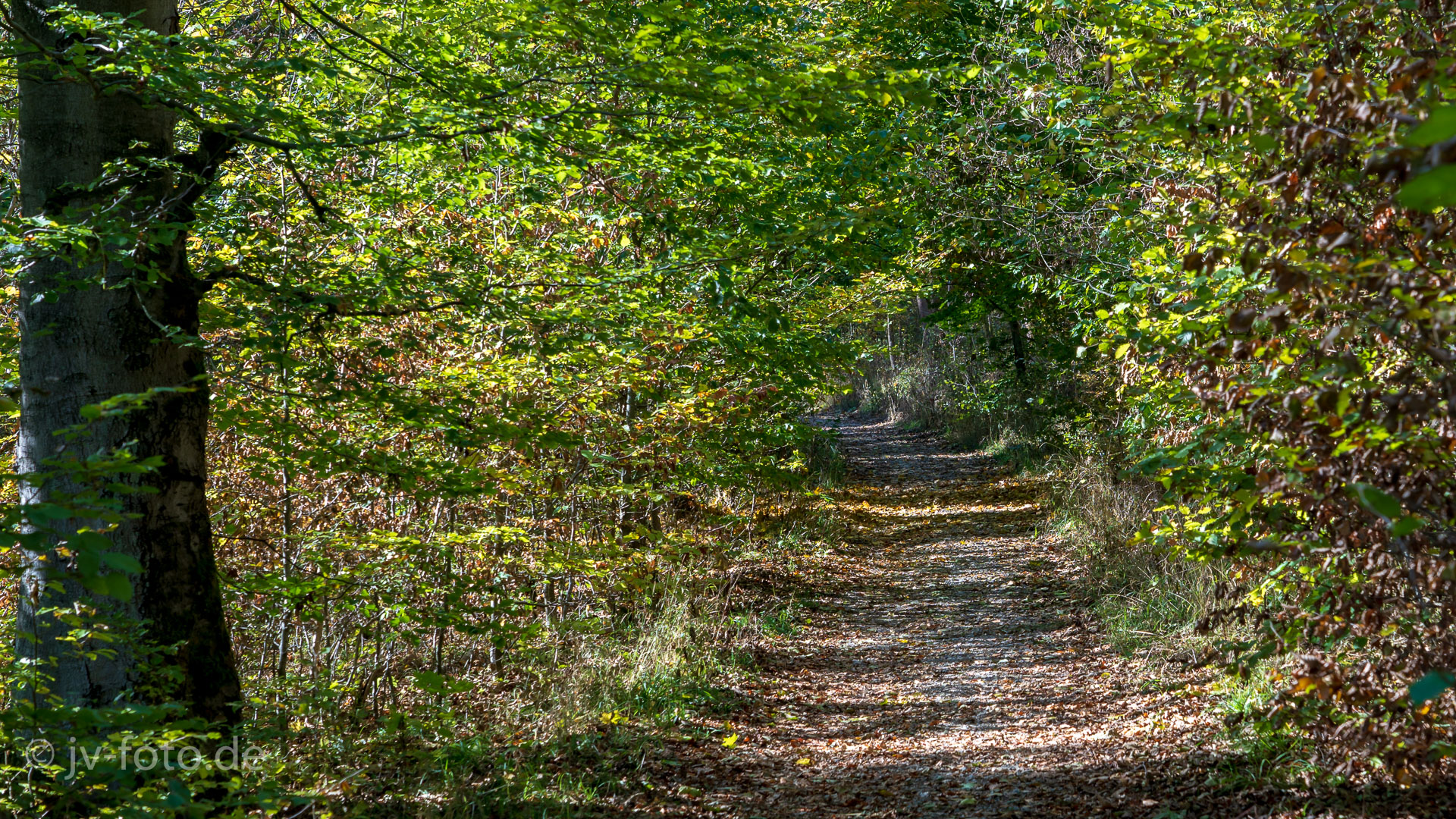 Unser Weg zum Rotestein