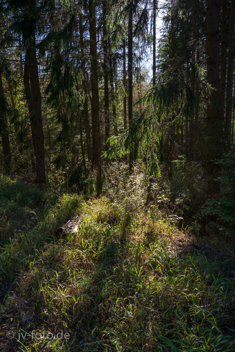 Lichtspiel
