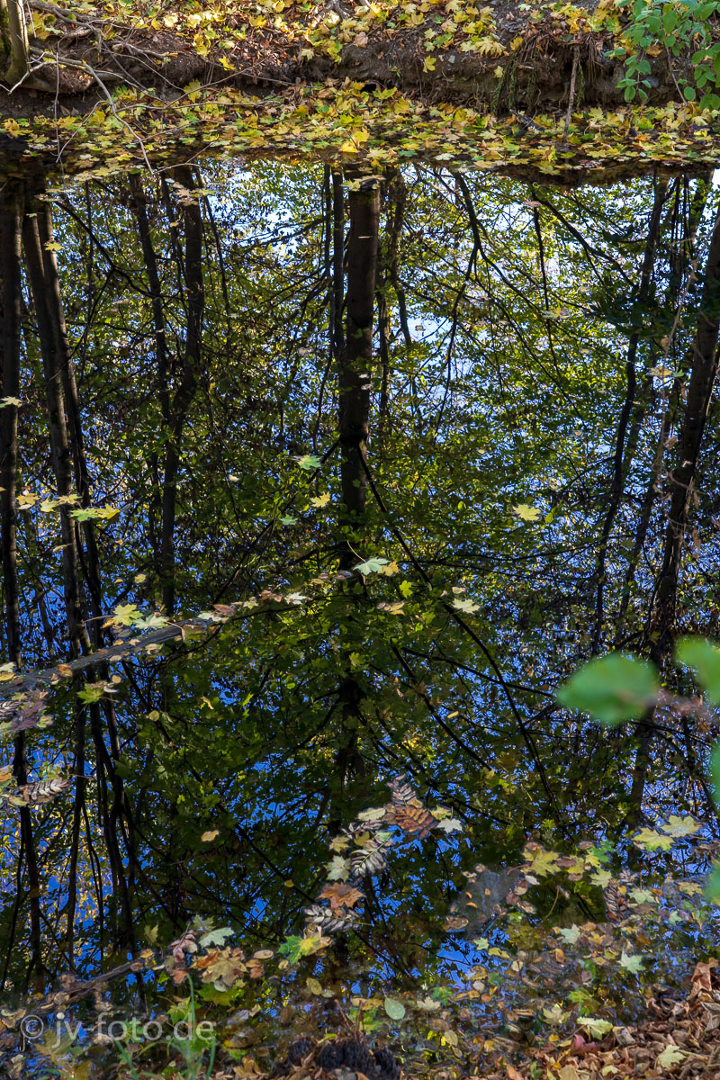 Spiegelbild