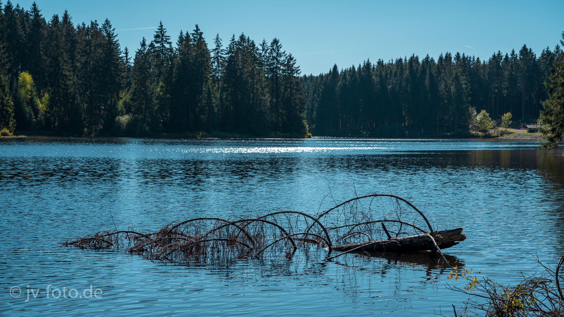 Am Bärenbrucher Teich