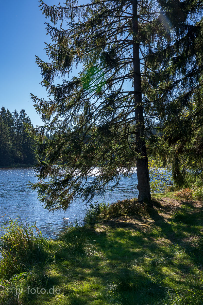Am Bärenbrucher Teich