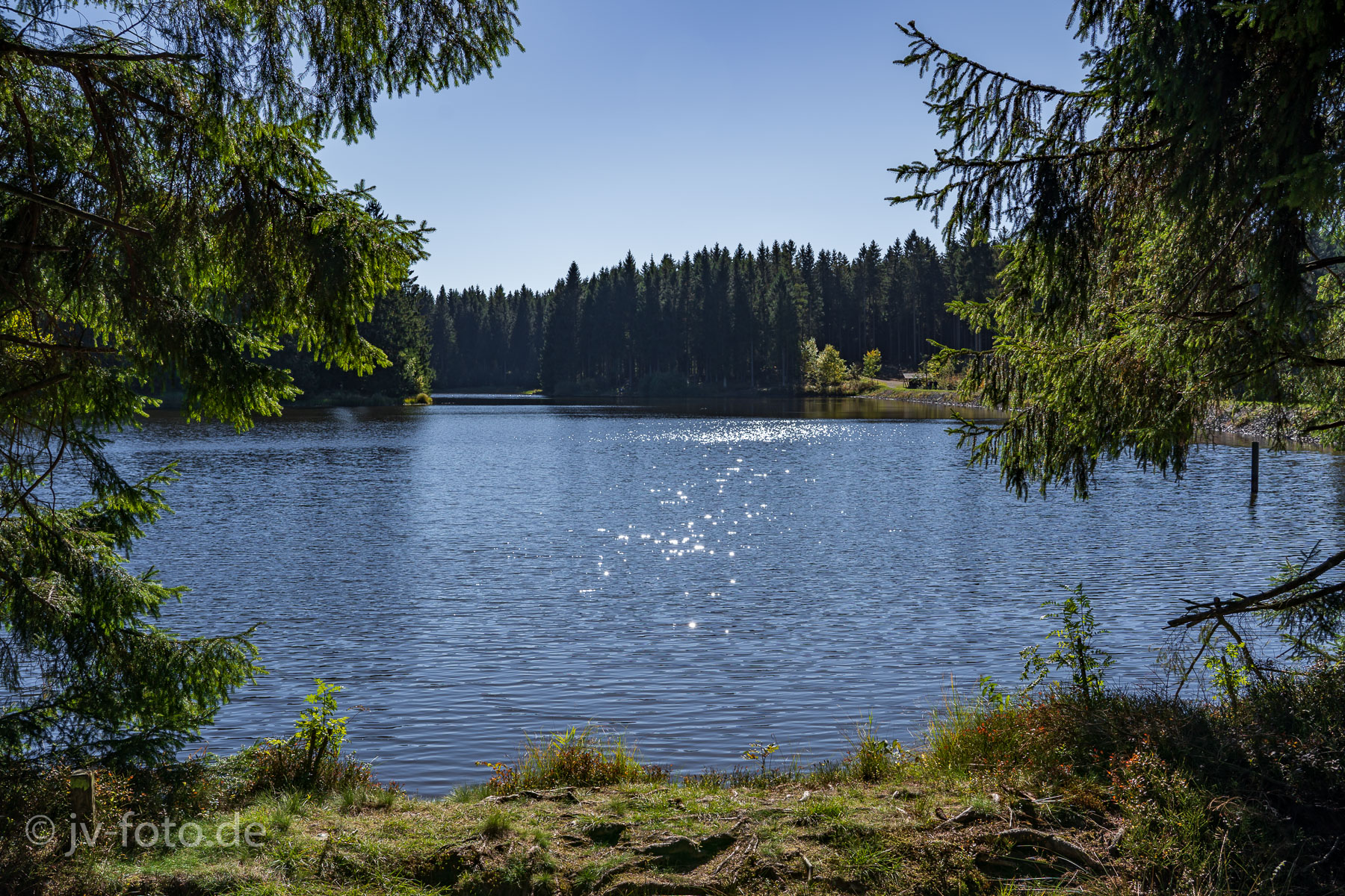 Am Bärenbrucher Teich
