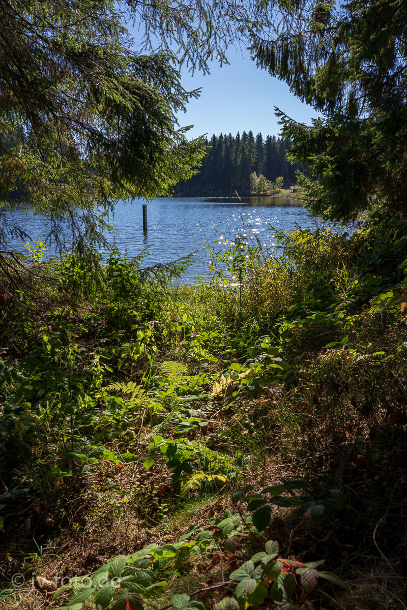 Am Bärenbrucher Teich