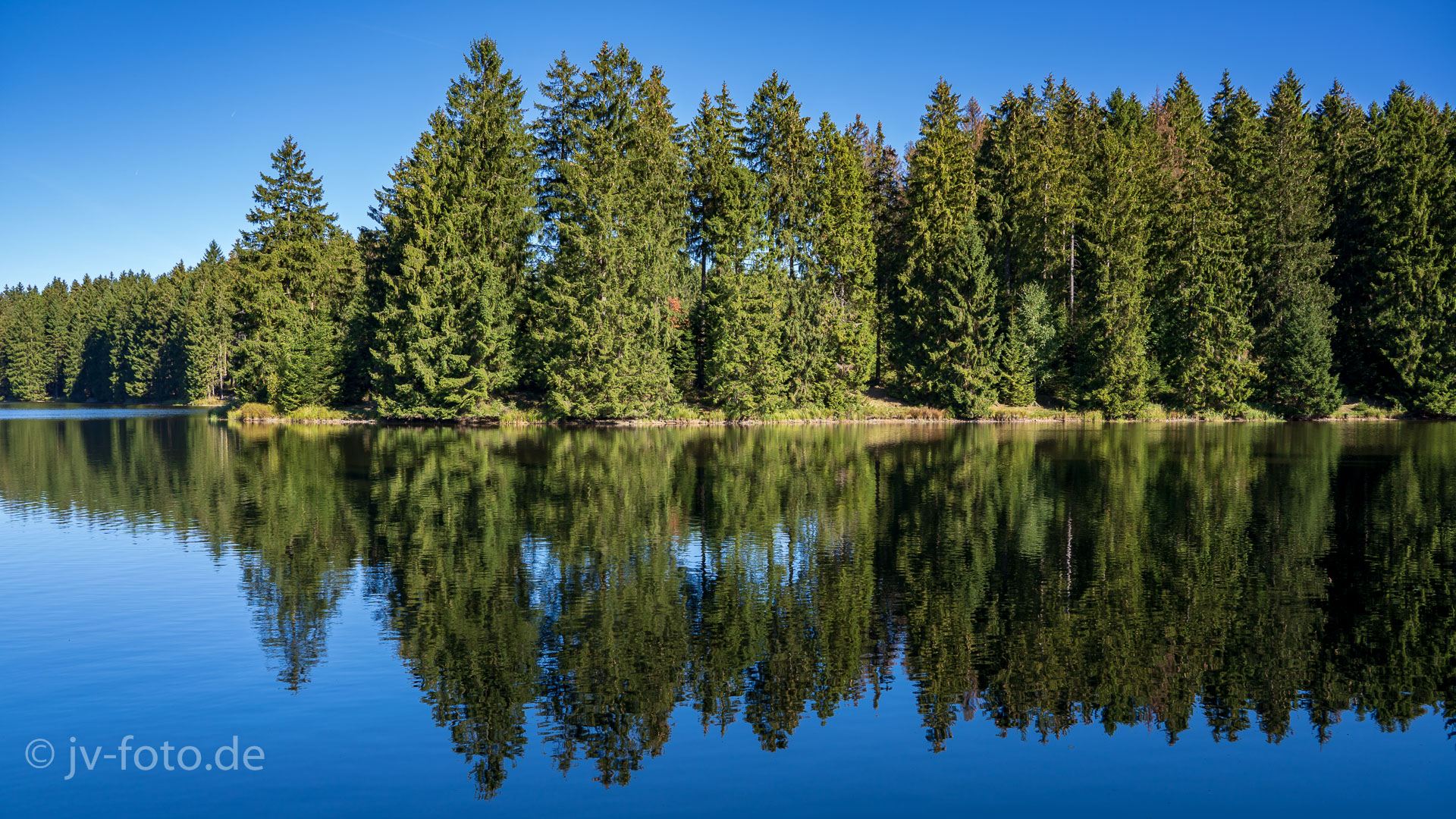 Am Bärenbrucher Teich