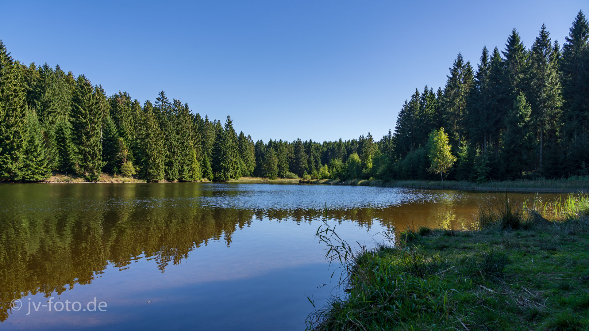 Am Bärenbrucher Teich