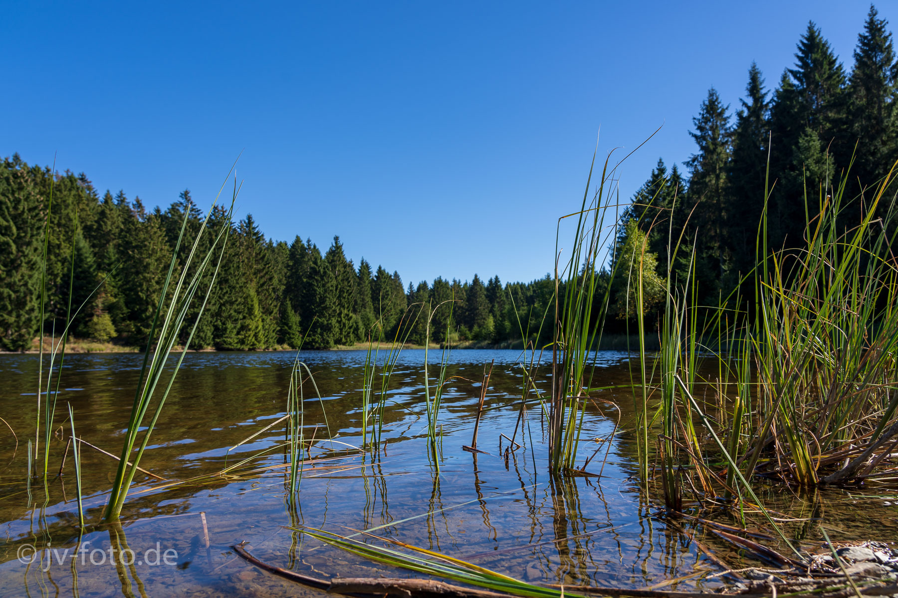 Am Bärenbrucher Teich