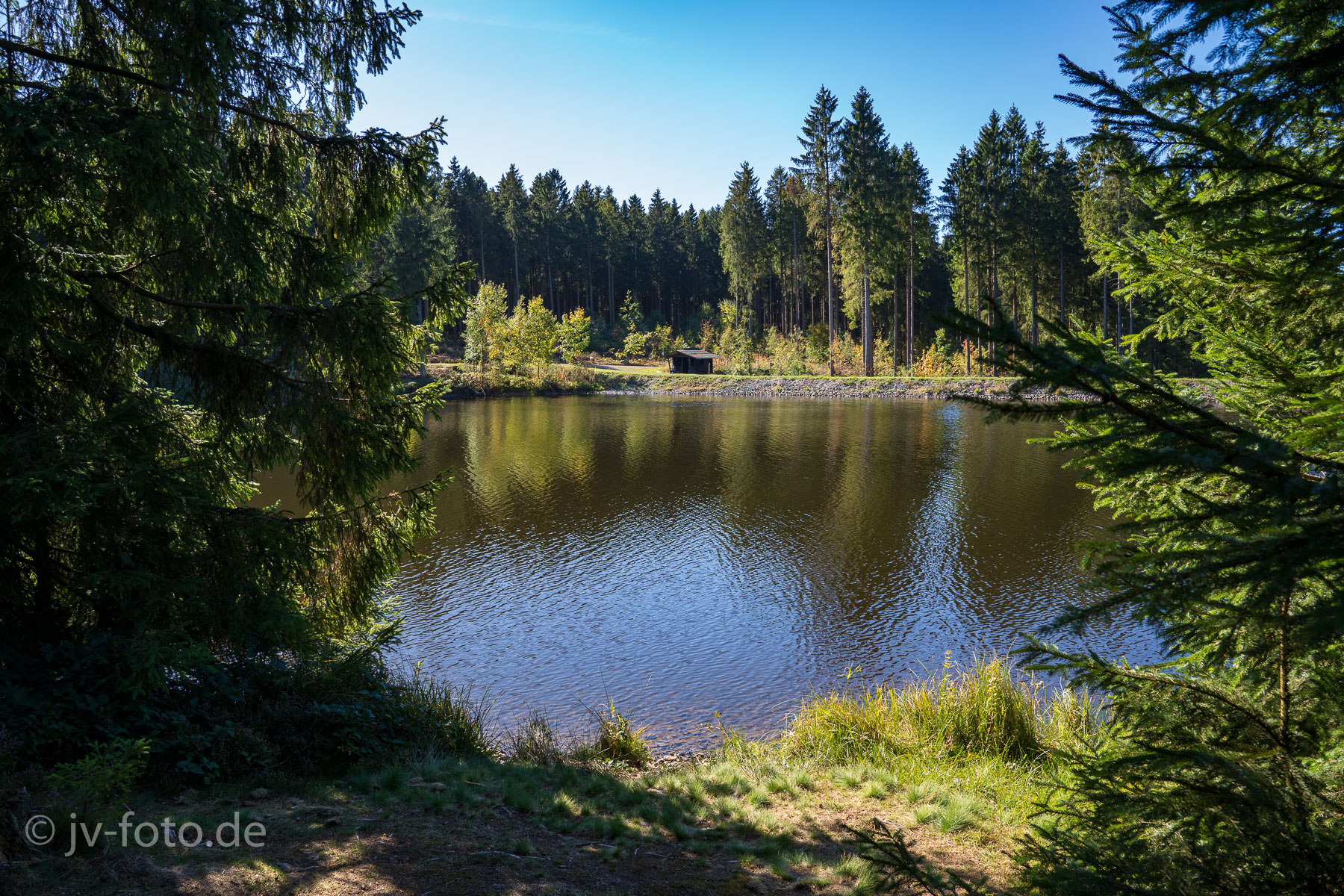 Am Bärenbrucher Teich