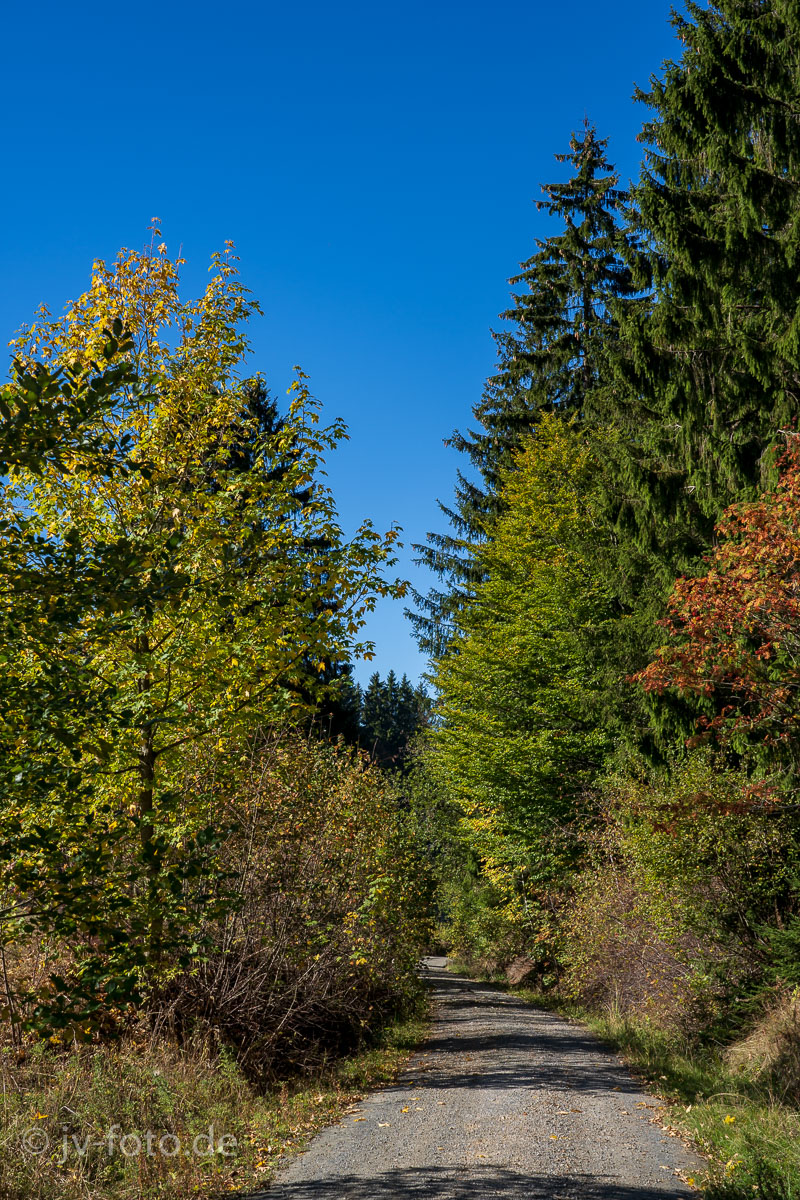 Herbstfärbung