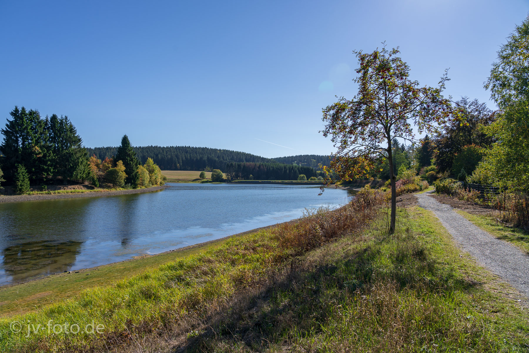 Am Sumpf-Teich