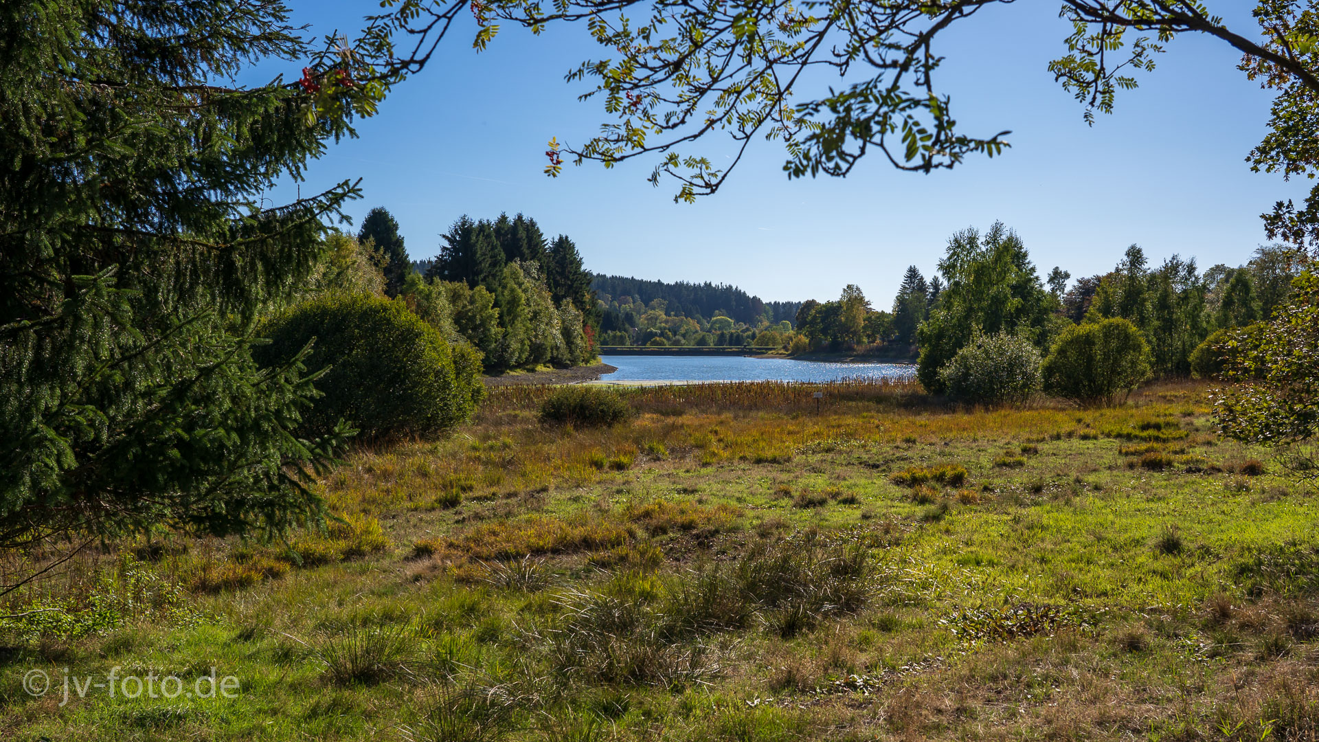 Am Sumpf-Teich