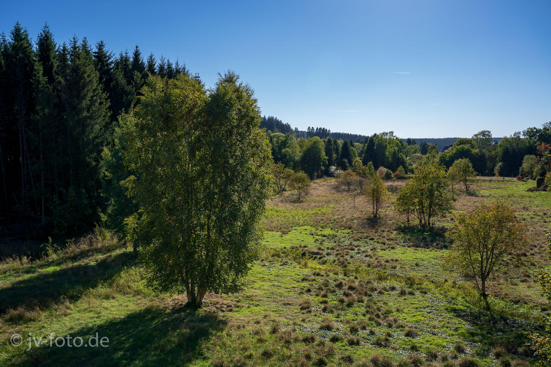 Die Innerste