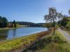 Am Sumpf-Teich