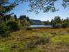 Am Sumpf-Teich