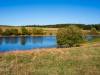 Am Sumpf-Teich