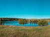 Am Sumpf-Teich