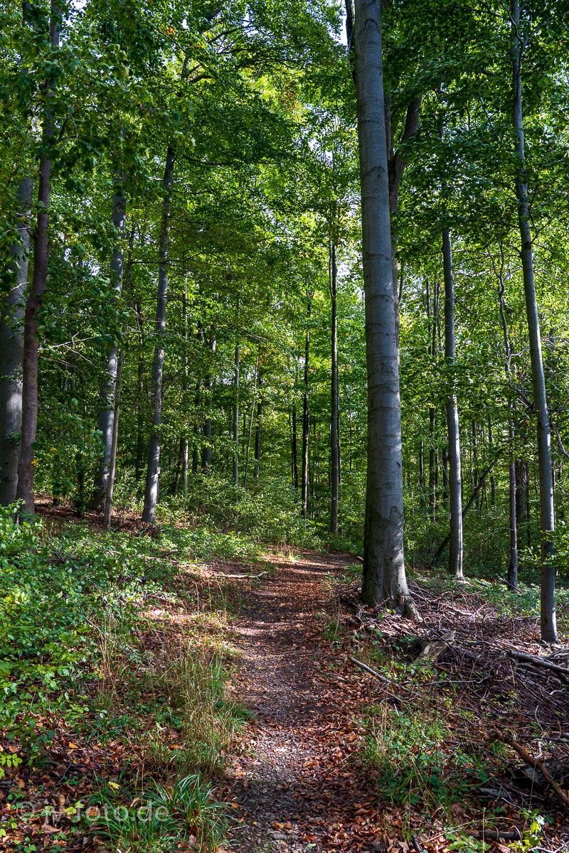 Karstwanderweg