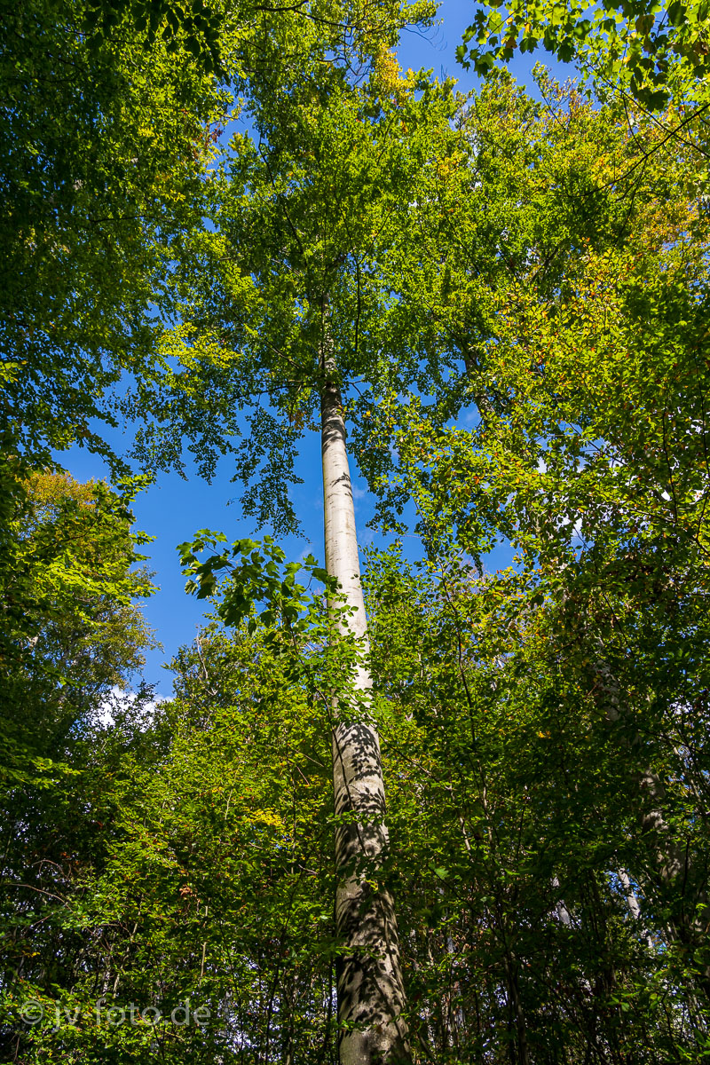 Karstwanderweg