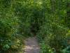 Karstwanderweg
