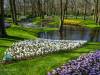 Keukenhof