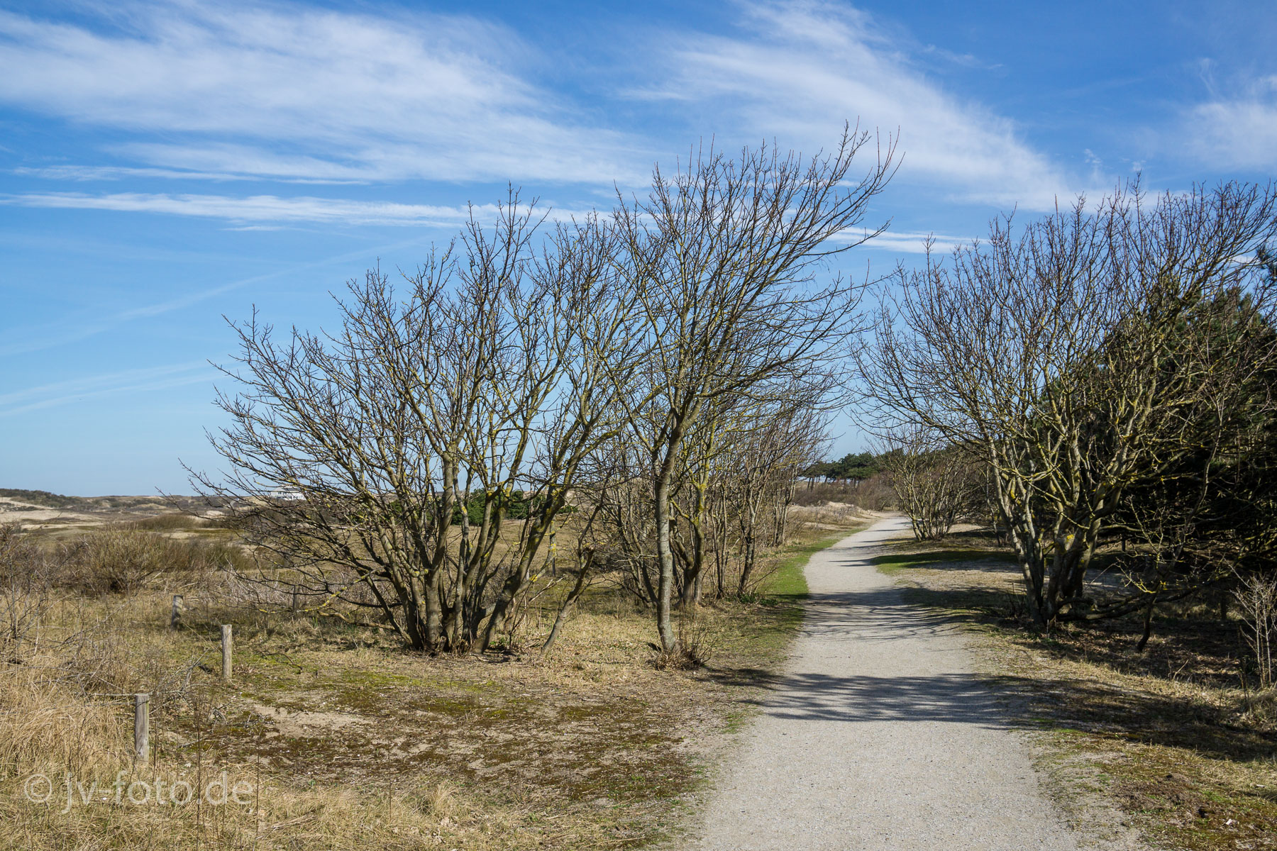 In den Dünen