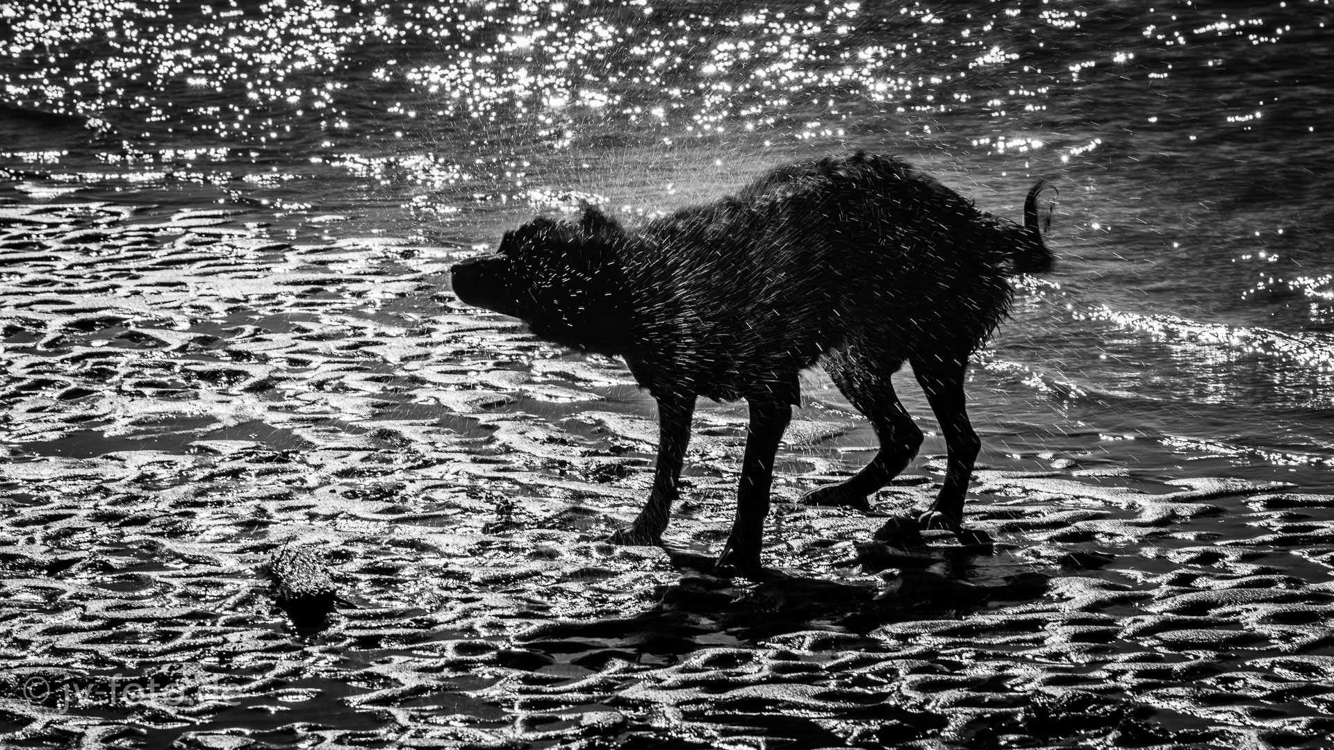 Am Strand