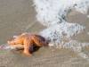 Am Strand