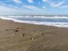 Am Strand