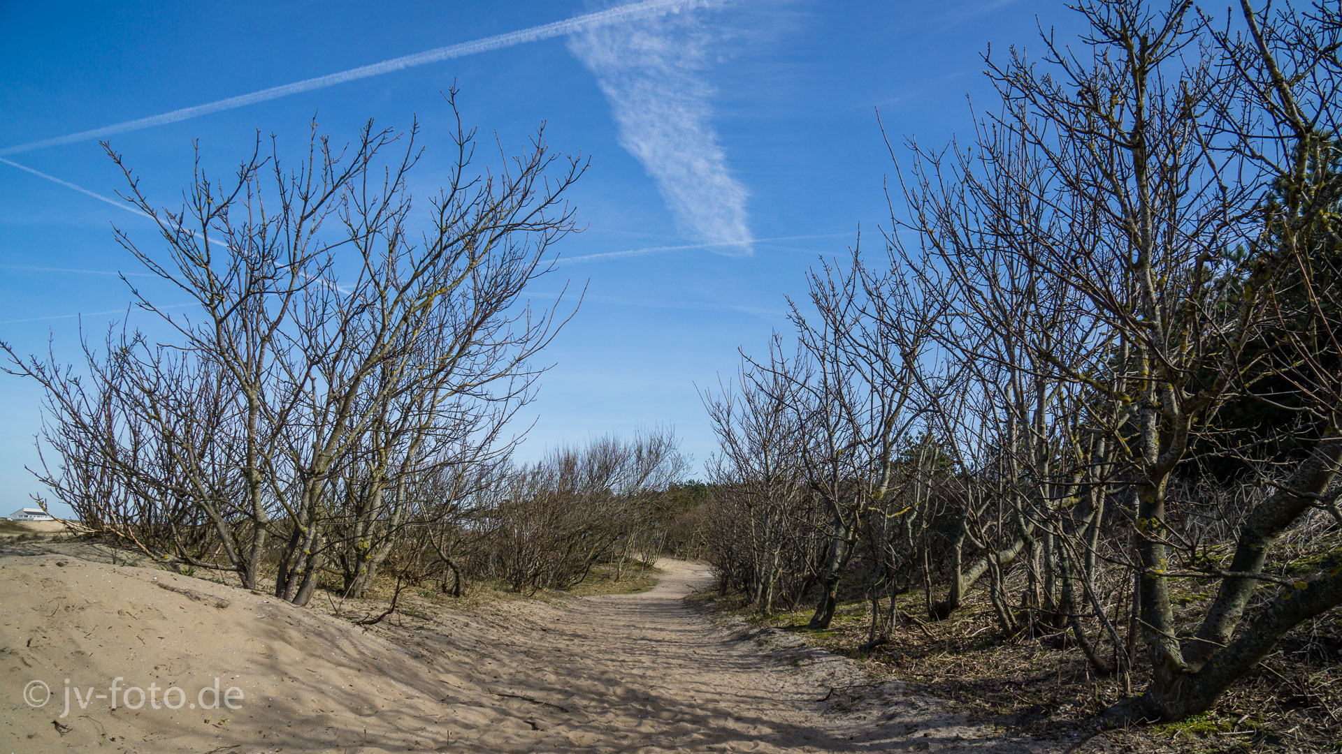 In den Dünen