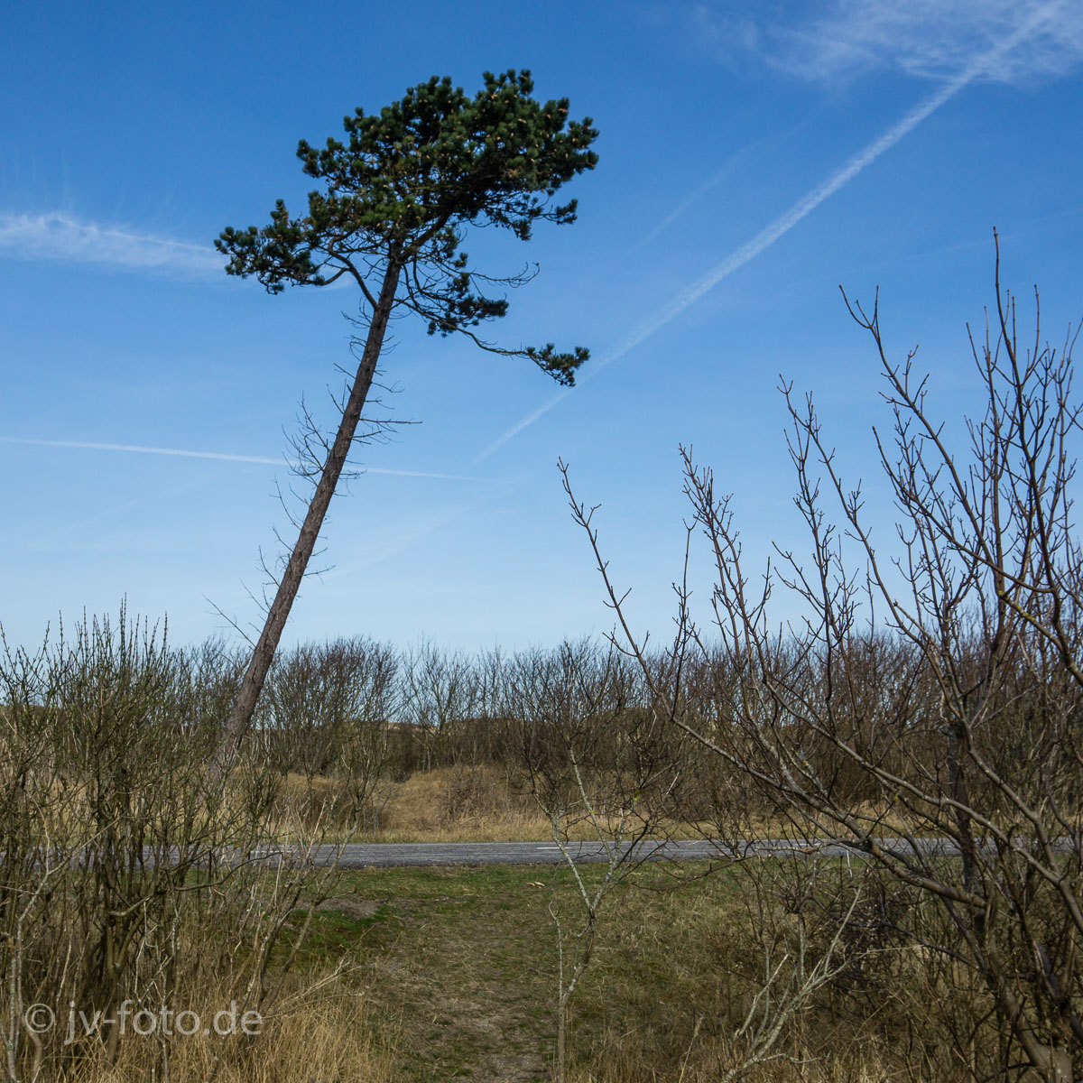 In den Dünen