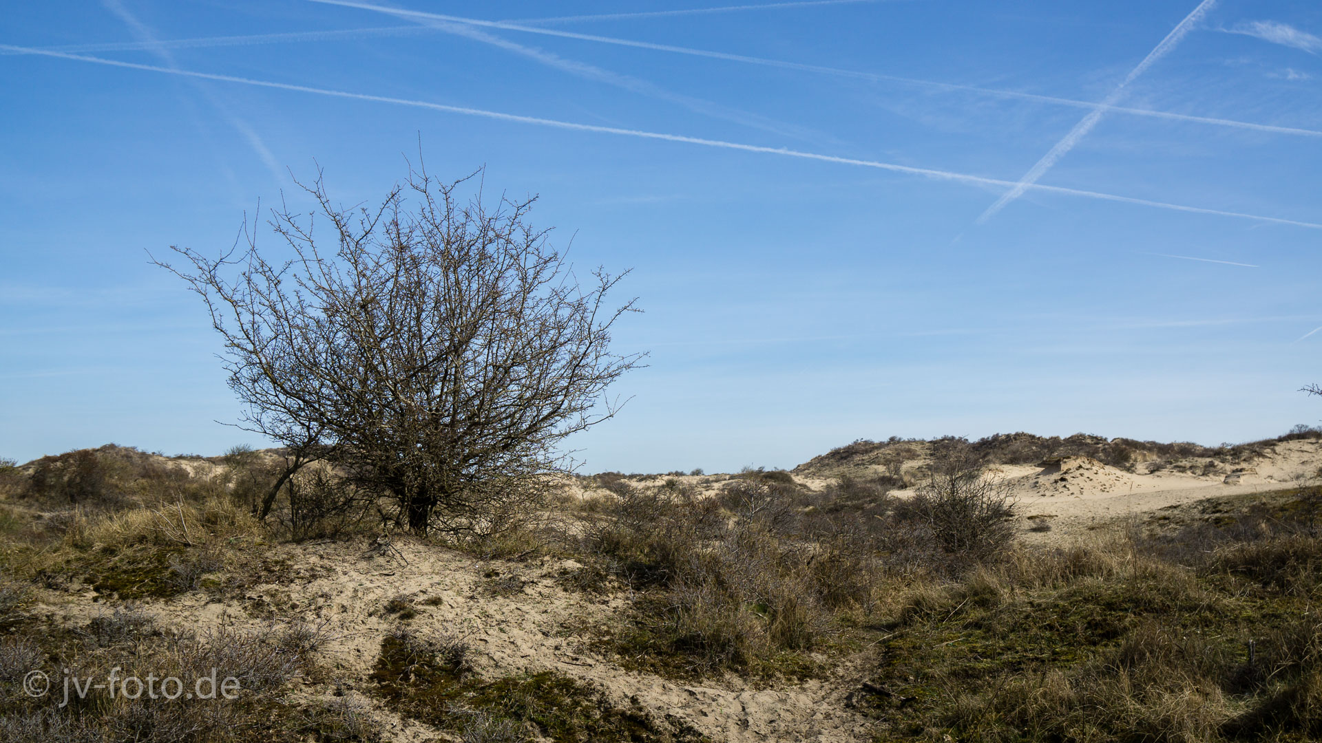 In den Dünen