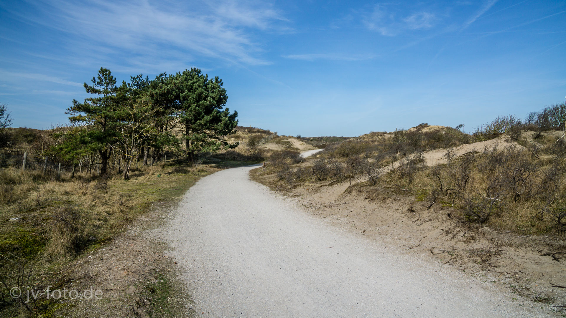In den Dünen
