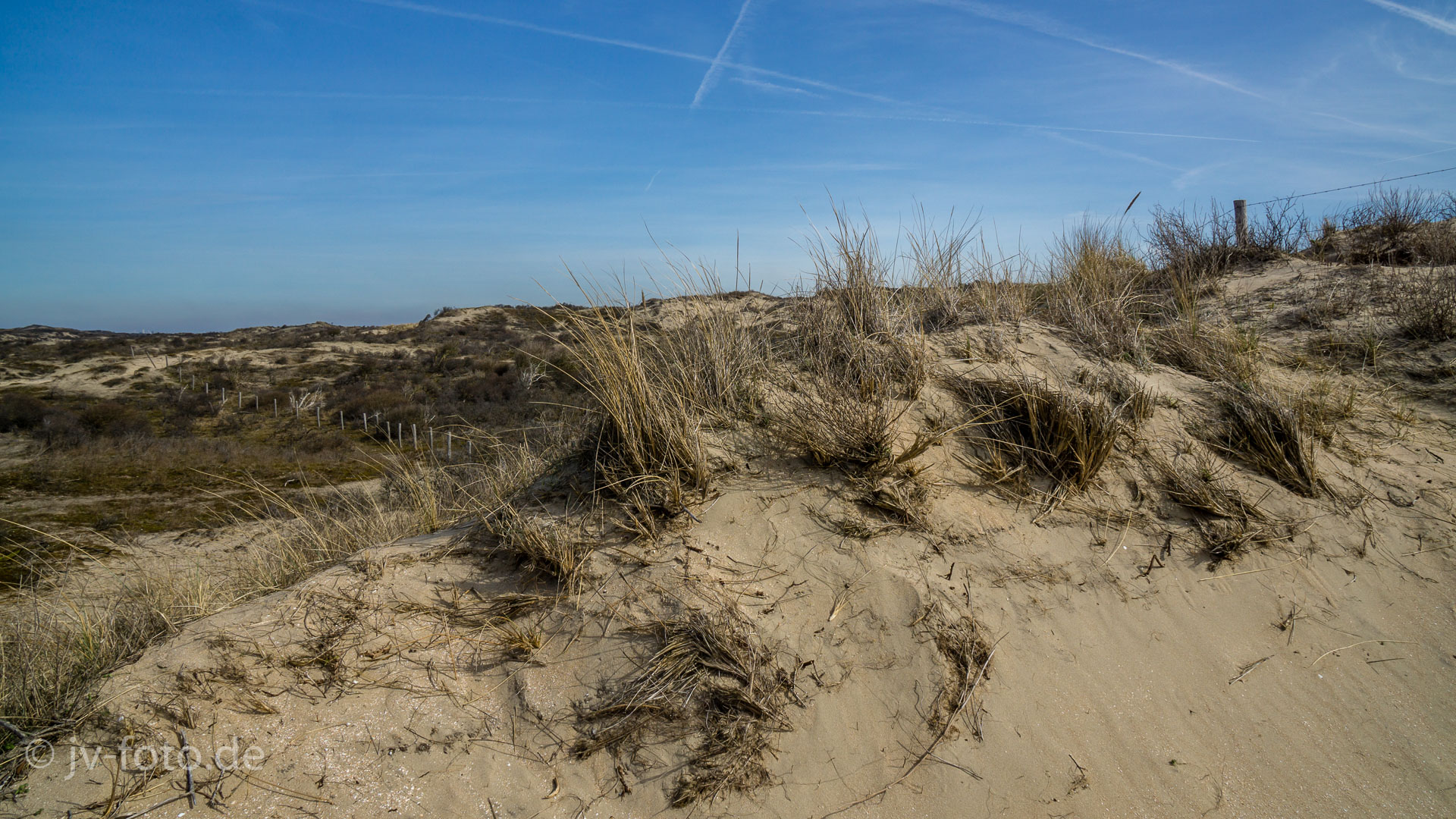 In den Dünen