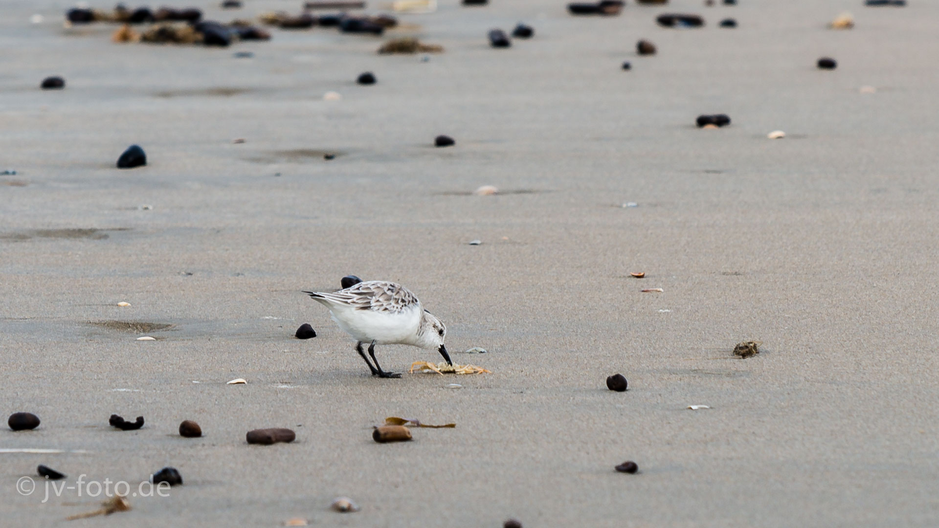 Am Strand
