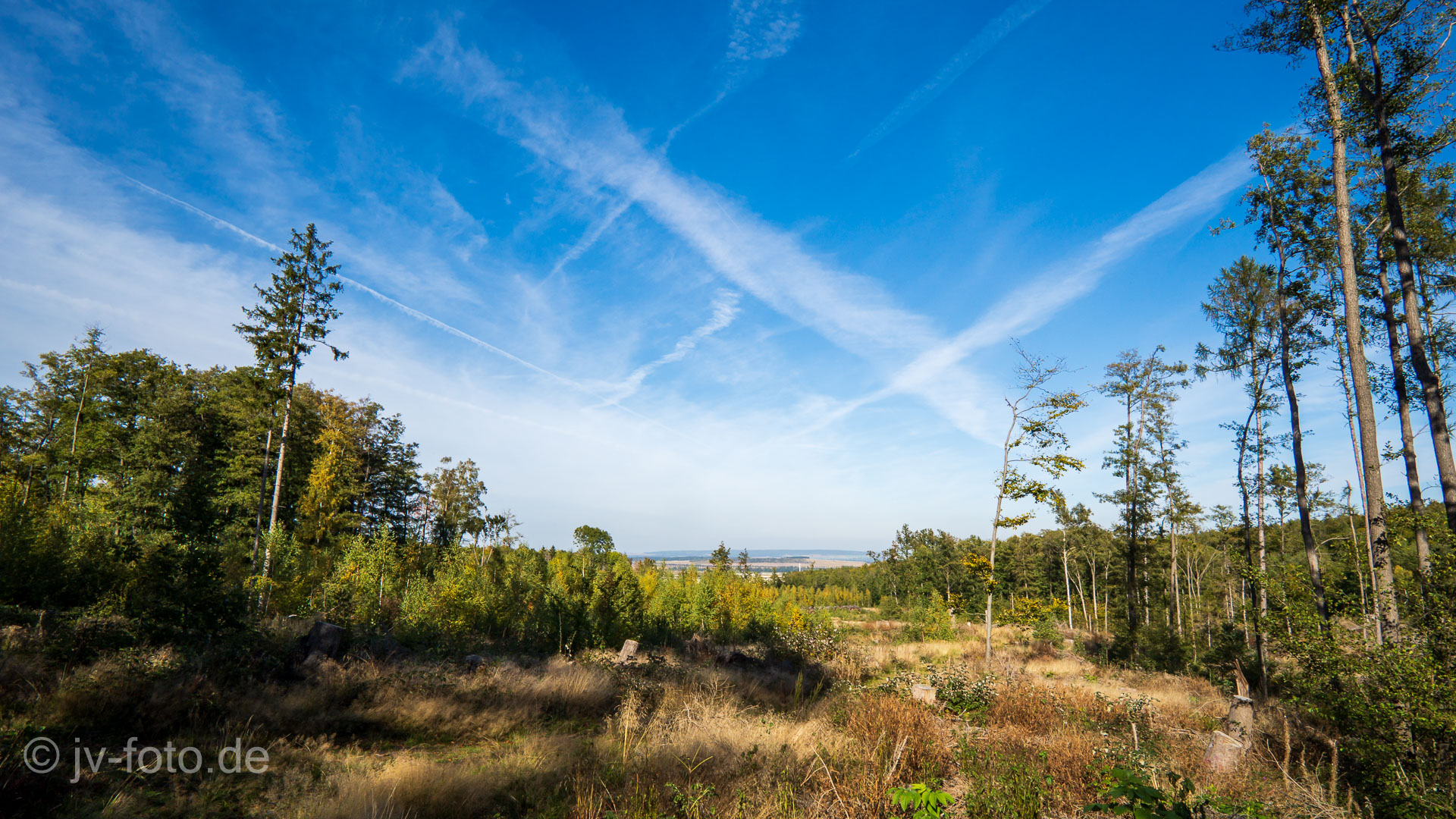 Rückweg nach Ilsenburg