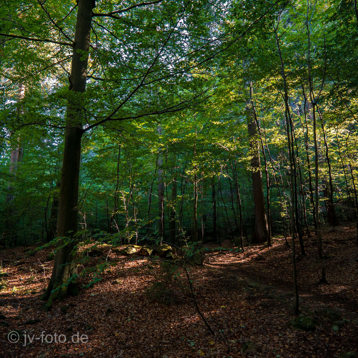 Ilsetal
