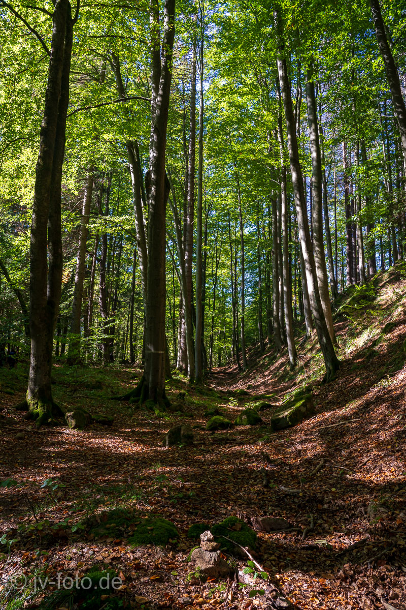 Ilsetal