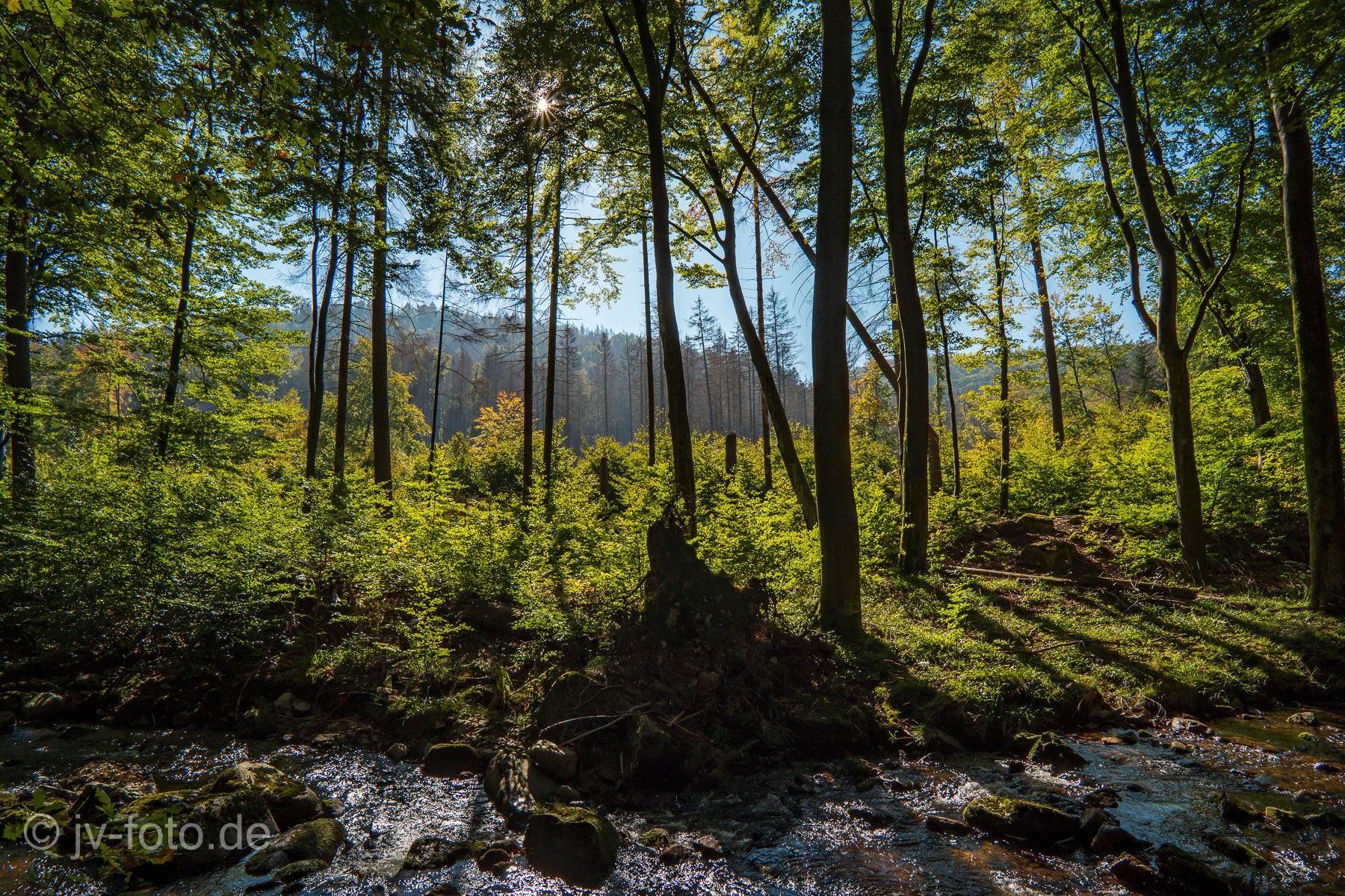Ilsetal