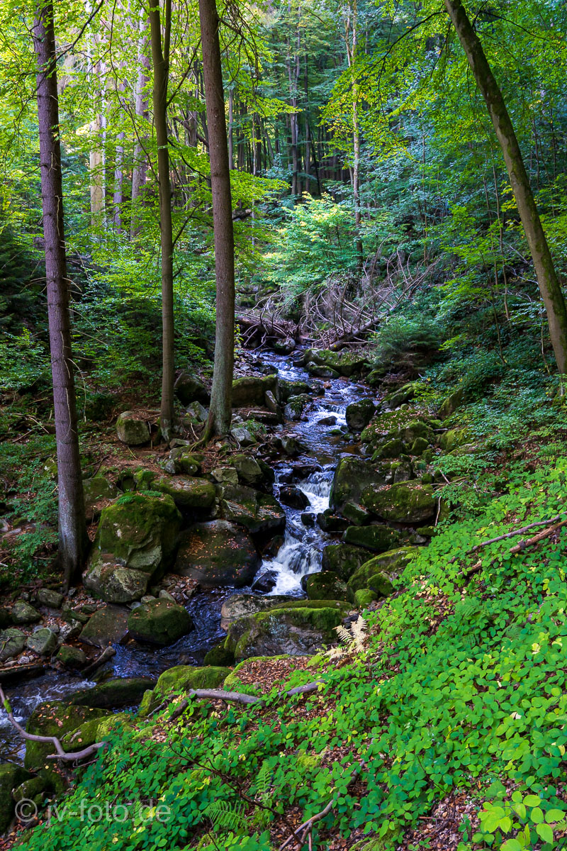 Ilsetal