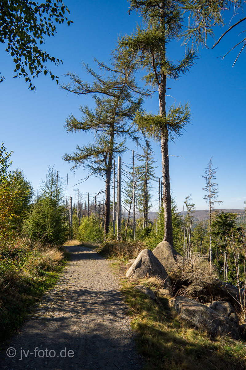 Auf dem Weg zur Plessenburg