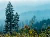 Der Brocken im Dunst